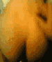 Arab horny